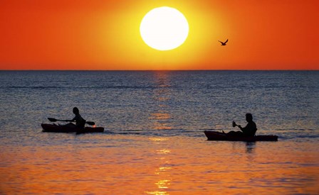 Sunset Excursion by Jonathan Ross art print