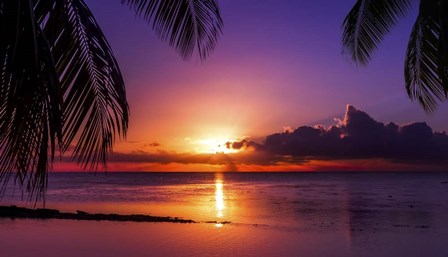 Tahiti Sunset by Jonathan Ross art print