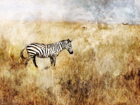 Golden Savanna Zebra by Katrina Jones art print