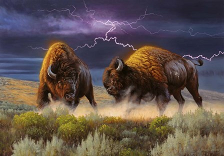Thunderstruck by Lambson’s Wildlife Art art print