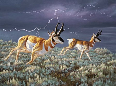 Thunder and lightning by Lambson’s Wildlife Art art print