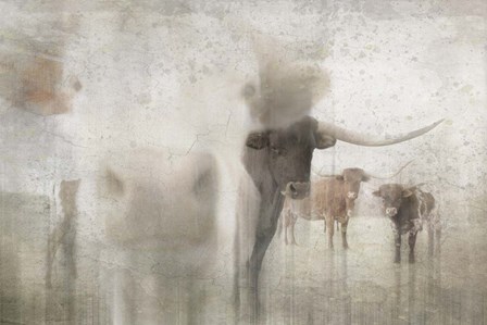 Antique Farm 16 by LightBoxJournal art print