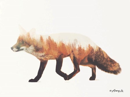 Norwegian Woods Fox by Andreas Lie art print