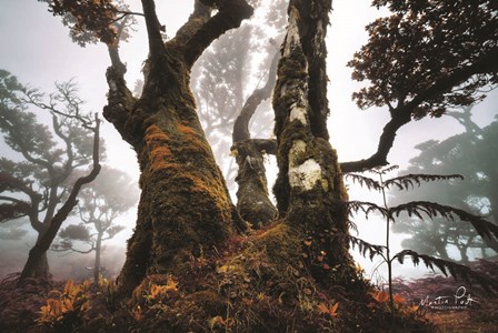 The Dark King by Martin Podt art print