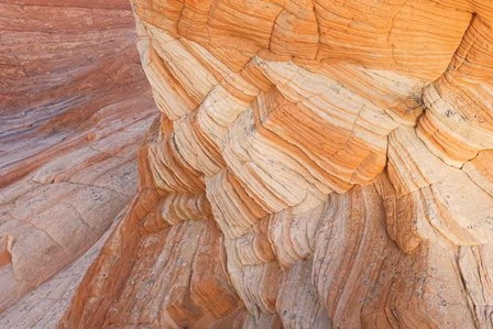 Coyote Buttes VII by Alan Majchrowicz art print