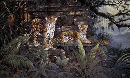 Jaguars by Terry Doughty art print