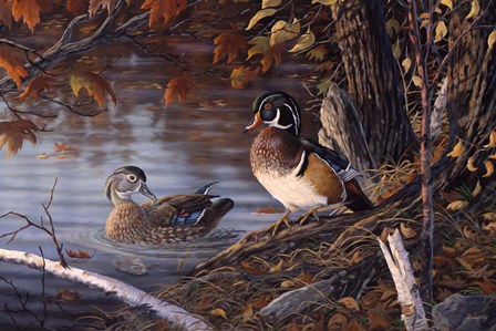 Autumn Companions by Terry Doughty art print
