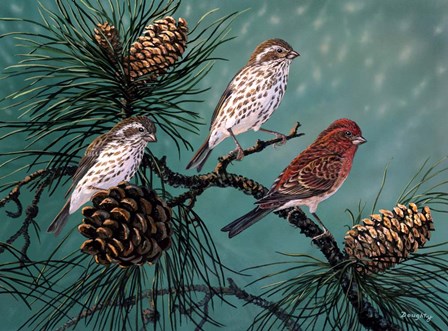 Purple Finches by Terry Doughty art print