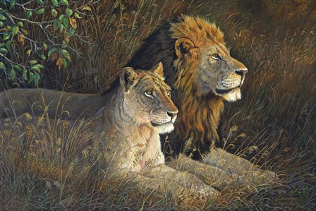 Lions Domain by Terry Doughty art print