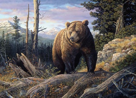 Mountain Winds Grizzly by Terry Doughty art print