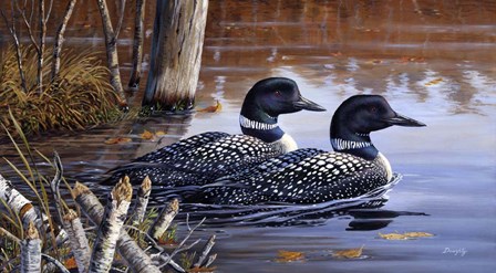 Beaver Pond Loons by Terry Doughty art print
