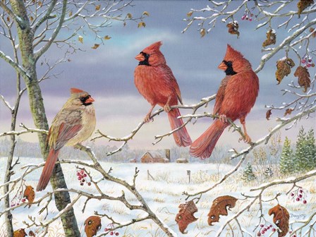 First Snow Cardinals by Terry Doughty art print