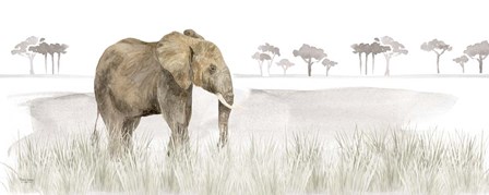 Serengeti Elephant horizontal panel by Tara Reed art print