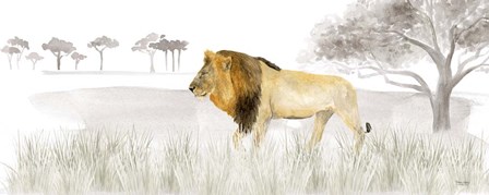 Serengeti Lion horizontal panel by Tara Reed art print