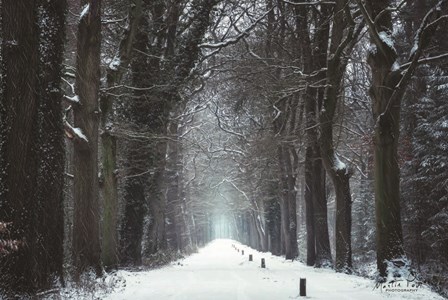 Snow in Markelo by Martin Podt art print