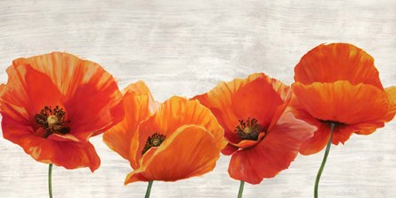 Bright Poppies by Jenny Thomlinson art print