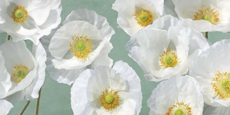 Poppy Arrangement (Mint) by Leonardo Sanna art print