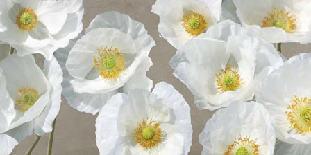 Poppy Arrangement (Taupe) by Leonardo Sanna art print