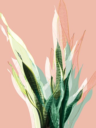 Snake Plant by A.V. Art art print