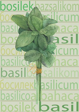 Basil by A.V. Art art print