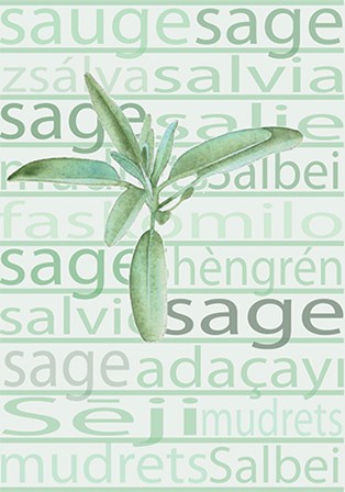 Sage by A.V. Art art print