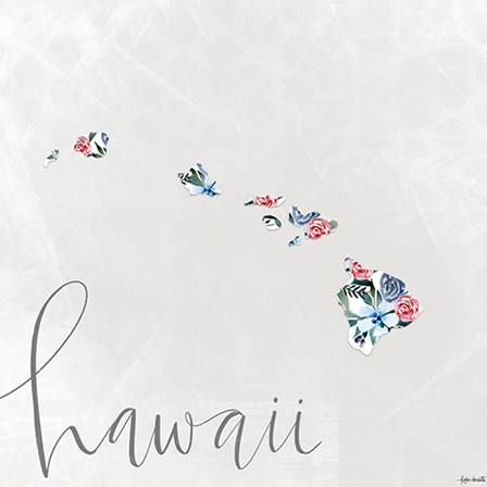 Hawaii by Katie Doucette art print