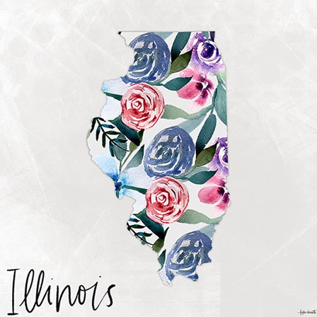 Illinois by Katie Doucette art print