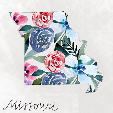 Missouri by Katie Doucette art print