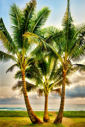 Triple Palm by Dennis Frates art print