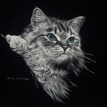 Kitten II by Lesley Harrison art print