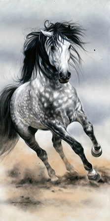 Glorious Grey by Lesley Harrison art print