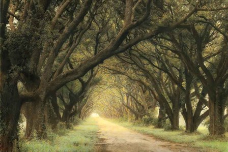 Evergreen Alley by William Guion art print