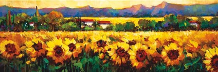 Sweeping Fields of Sunflowers by Nancy O&#39;Toole art print