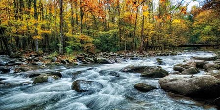 Painted Autumn by D. Burt art print