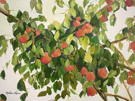 Apple Tree by Melissa Lyons art print