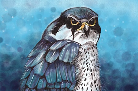 Falcon by Stuart Roy art print