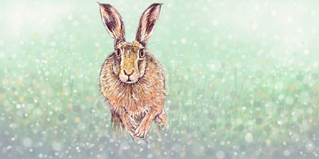 Hare I by Stuart Roy art print