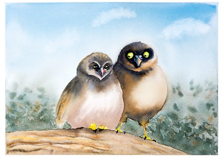 Owls by Olga Shefranov art print
