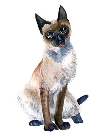 Cat II by Olga Shefranov art print