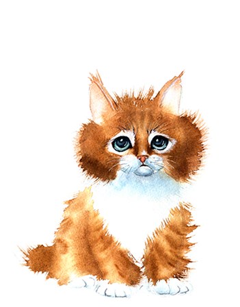 Orange Cat by Olga Shefranov art print