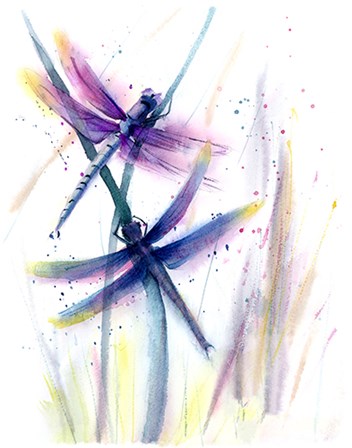 Dragonflies II by Olga Shefranov art print