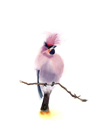 Pink Bird by Olga Shefranov art print
