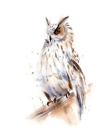 Owl by Olga Shefranov art print