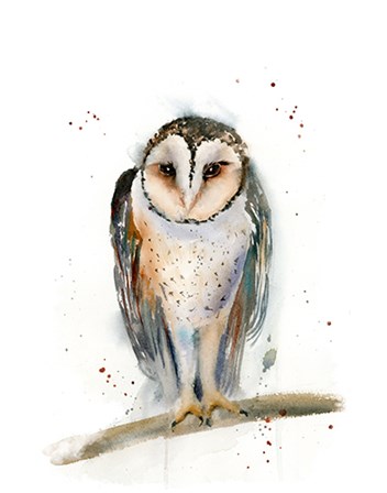 Owl II by Olga Shefranov art print