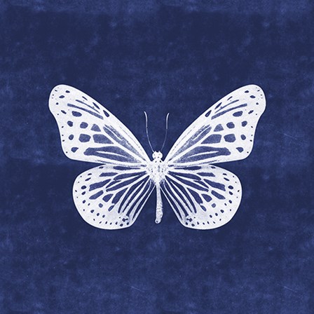 White Butterfly II by Linda Woods art print