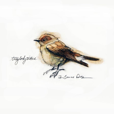 Finch by Yellow Caf&#233; art print