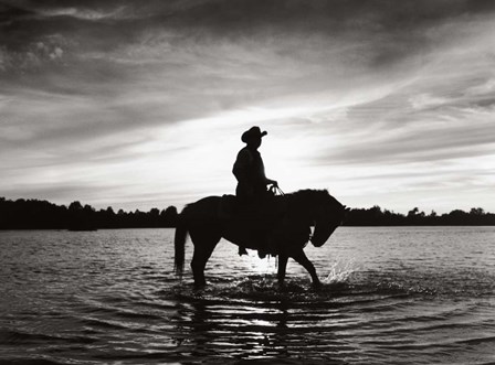 Silhouettes at Sunset by Monte Nagler art print