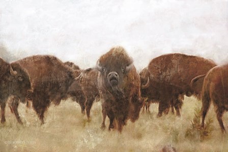 Buffalo by Bluebird Barn art print