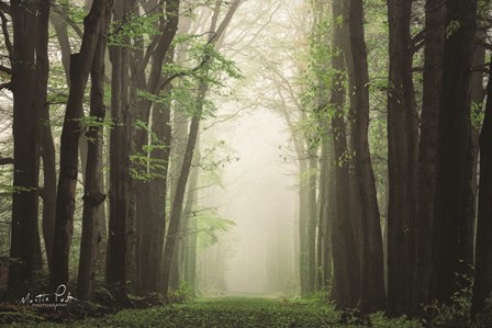 Moisture is the Essence of Wetness by Martin Podt art print