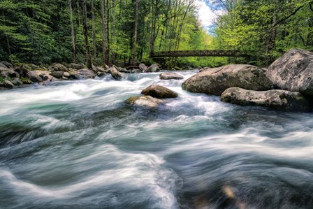 Rocky River Stream by Andy Amos art print